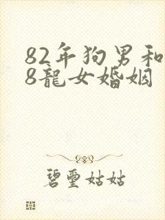 82年狗男和88龙女婚姻
