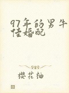 97年的男牛最佳婚配