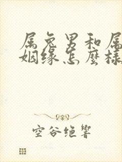 属兔男和属蛇女姻缘怎么样