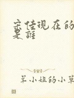 宋佳现在的丈夫是谁