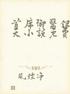 首席御医银河九天小说免费全文阅封面