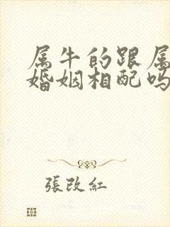 属牛的跟属狗的婚姻相配吗