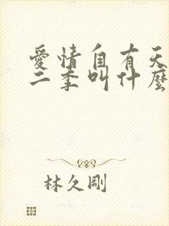 爱情自有天意第二季叫什么