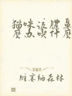 猫咪流脓鼻涕怎么办吃什么药