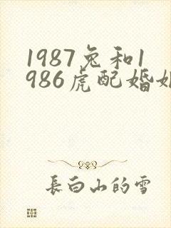 1987兔和1986虎配婚姻好不好