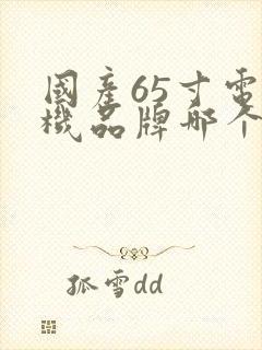 国产65寸电视机品牌哪个最好