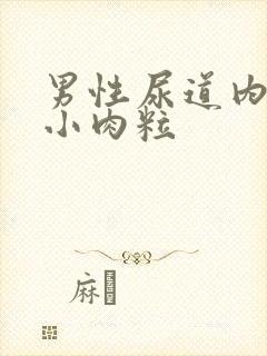 男性尿道内口长小肉粒