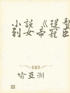 小说 《从赘婿到女帝宠臣》