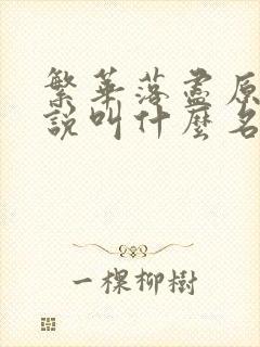 繁华落尽原著小说叫什么名字