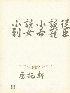 小说小说从赘婿到女帝宠臣