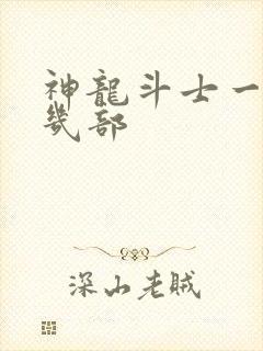 神龙斗士一共有几部封面