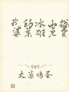 我的冰山总裁老婆叶雄免费阅读