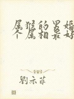 属猴的男婚配哪个属相最好封面