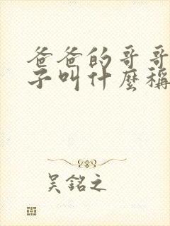 爸爸的哥哥的妻子叫什么称呼