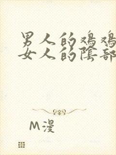 男人的鸡鸡插入女人的阴部