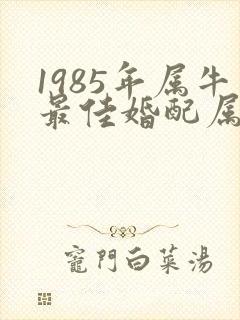 1985年属牛最佳婚配属相