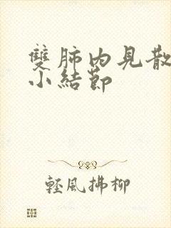 双肺内见散在微小结节