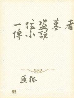 一位盗墓者的自传小说