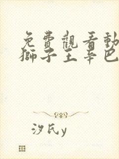 免费观看动画 狮子王辛巴全集