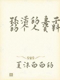 孙涛的妻子李莉的个人资料