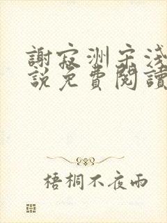 谢寂洲宋浅予小说免费阅读最新章节