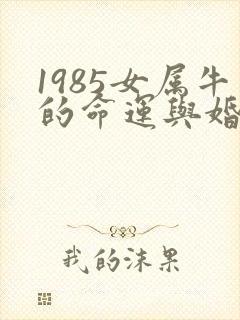 1985女属牛的命运与婚姻