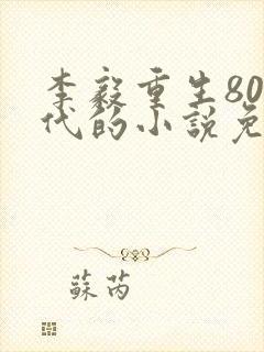 李毅重生80年代的小说免费阅读