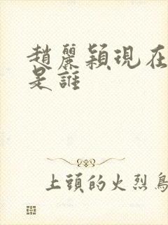 赵丽颖现在丈夫是谁封面