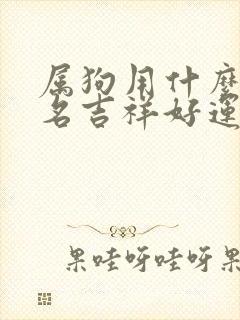 属狗用什么微信名吉祥好运