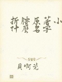 折腰原著小说叫什么名字