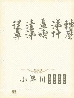 从清鼻涕转为黄鼻涕吃什么药