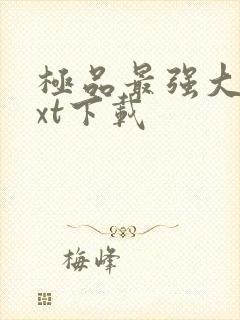 极品最强大少txt下载