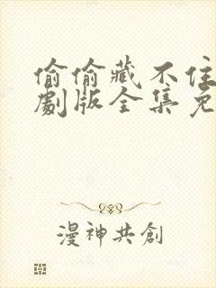 偷偷藏不住电视剧版全集免费封面