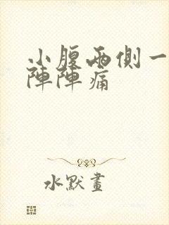 小腹两侧一阵一阵阵痛封面