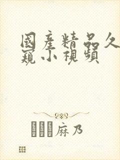 国产精品久久偷窥小视频