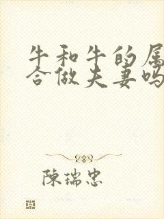 牛和牛的属相适合做夫妻吗