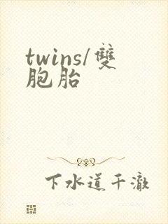 twins/双胞胎