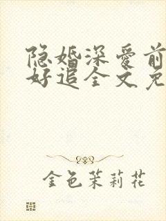 隐婚深爱前妻不好追全文免费阅读