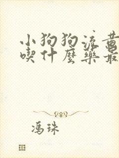 小狗狗流黄鼻涕吃什么药最好