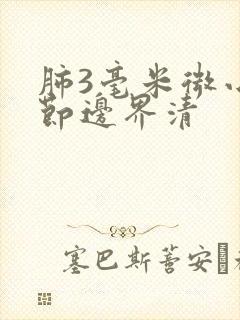 肺3毫米微小结节边界清