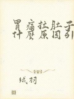 胃痛拉肚子想吐什么原因引起的