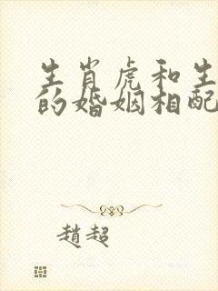 生肖虎和生肖兔的婚姻相配吗封面