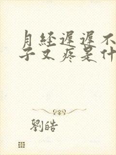 月经迟迟不来肚子又疼是什么原因封面