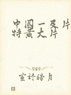 中国一及片黄片特黄大片