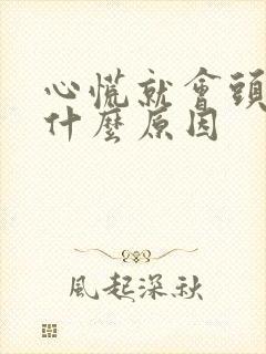 心慌就会头晕是什么原因