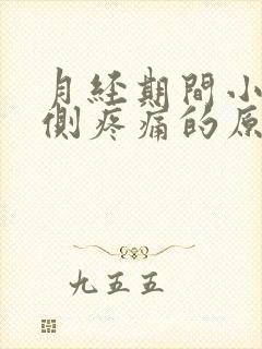 月经期间小腹两侧疼痛的原因封面