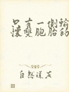 只有一侧输卵管怀双胞胎的几率大吗