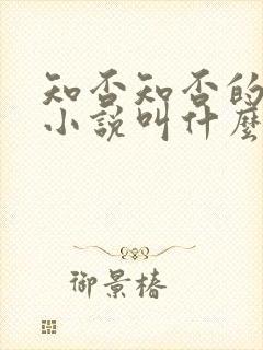 知否知否的原著小说叫什么名字封面