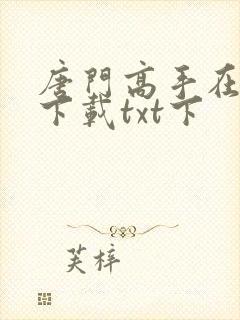 唐门高手在异世下载txt下