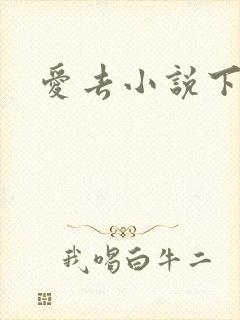 爱去小说下载网